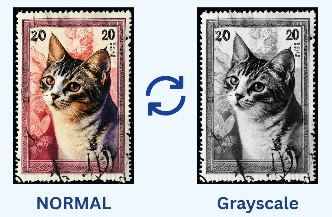 Image to Grayscale Converter